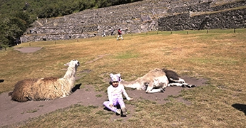 Machu Picchu en carro – 2 días