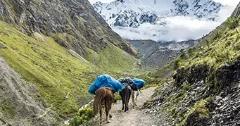 Salkantay Trek-Retorno en Bus (5D/4N)